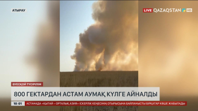 Атыраудағы «Ақжайық» мемлекеттік табиғи резерваты аумағындағы қамыс өрті өшірілді
