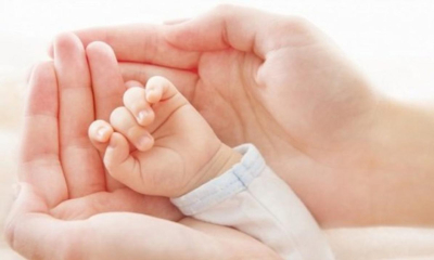 Елде жетім баланы қабылдайтын кәсіби отбасылар пайда болады