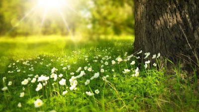 Бүгін Қазақстан мегаполистерінің бірінде 40 градусқа дейін аптап ыстық болады