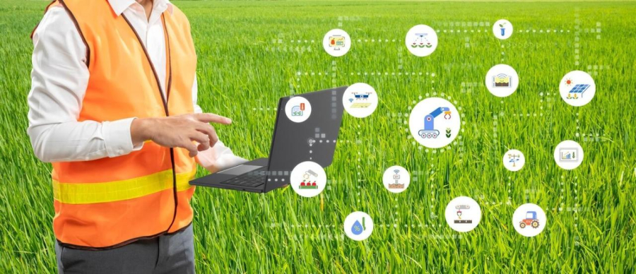 Қазақстанның 648 ауыл шаруашылығы өндірушісі цифрлық технологиялар мен жасанды интеллект элементтерін енгізуде