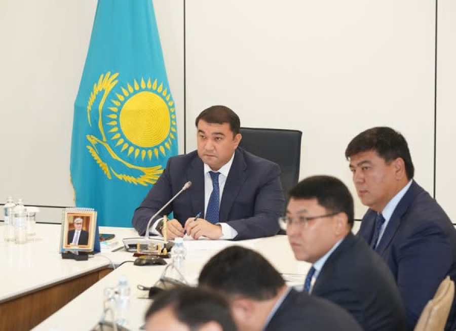 Н.Көшеров: Мемлекеттік сатып алу рәсімдері заң талаптарына сай болуы тиіс