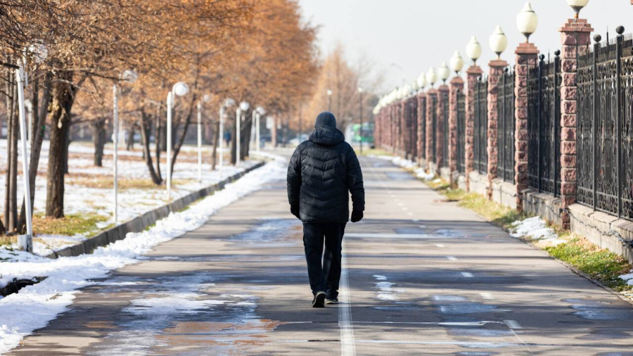 Қазақстан халқы 2050 жылға қарай 24,3 млн адамға дейін өседі – БҰҰДБ болжамы