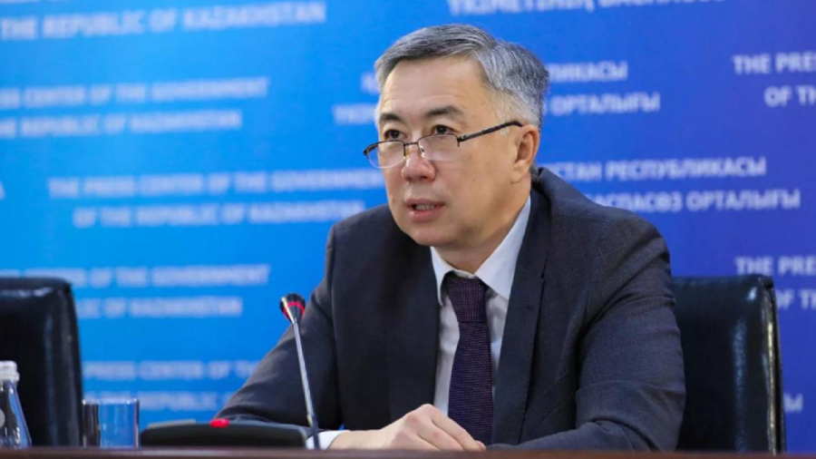 Ұлттық экономика министрі сән-салтанат салығының мәнін түсіндірді