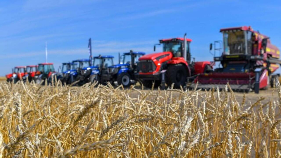 2024 жылғы Жолдауды орындау: Қазақстанда мал мен құс саны тұрақты көбейіп келеді