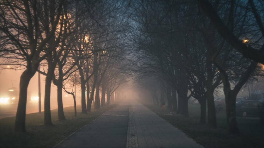 30 наурызда еліміздің бірнеше өңірінде тұман түсіп, шаңды дауыл болады