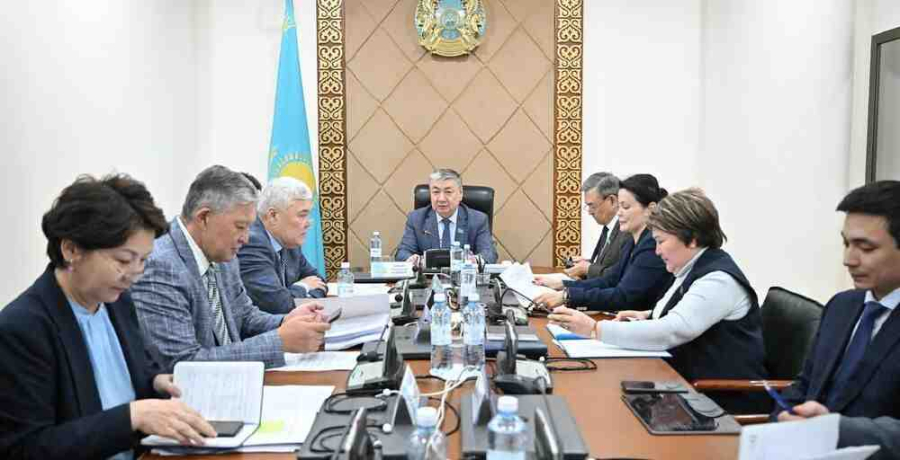 Сенат ЖИ туралы заңды мәжіліске кері қайтарды