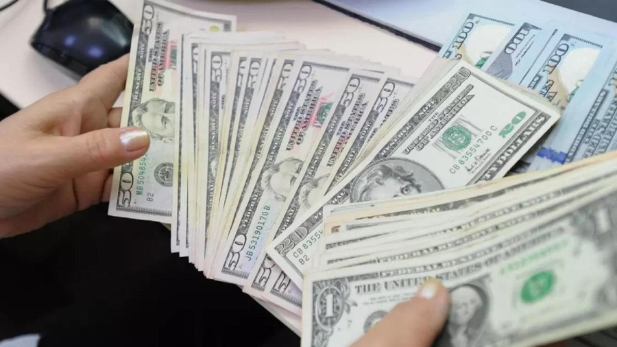 Әр гектарға 250 доллар: елімізде фермерлерге пассив табыс ұсынылмақ