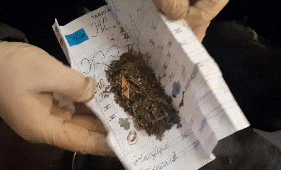 Қазақстанда есірткі бизнесіне қарсы күрес күшейді: 14 тоннадан астам есірткі тәркіленді