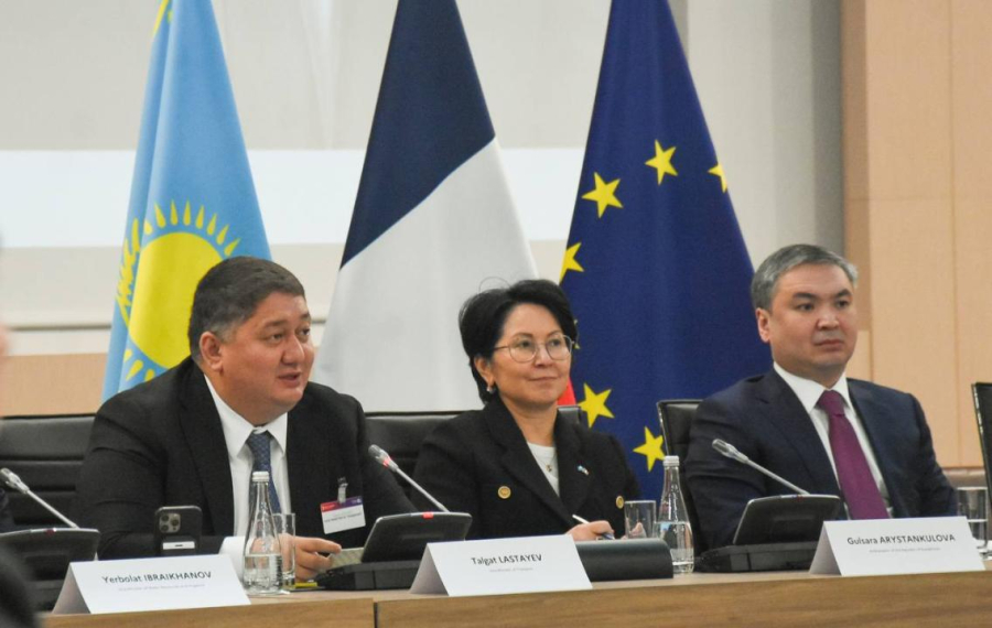 Париж-Астана, Шымкент-Ницца бағыттары бойынша әуе рейсін іске қосу қарастырылып жатыр
