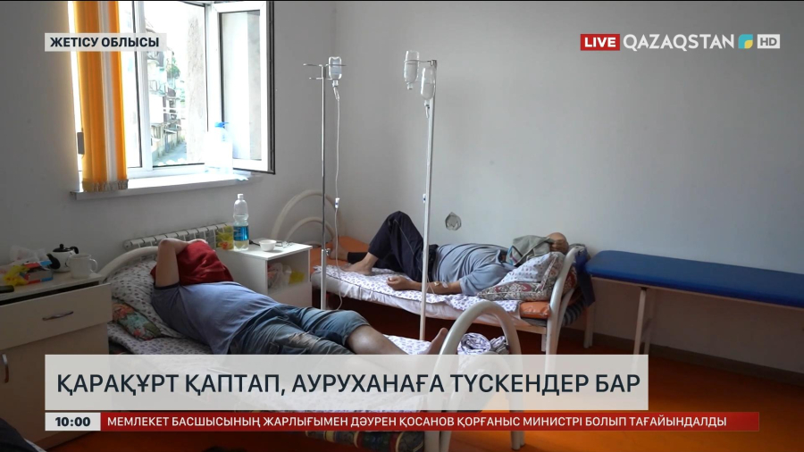 Жетісу облысында қарақұрт шаққан бір адам ауруханаға жеткізілді